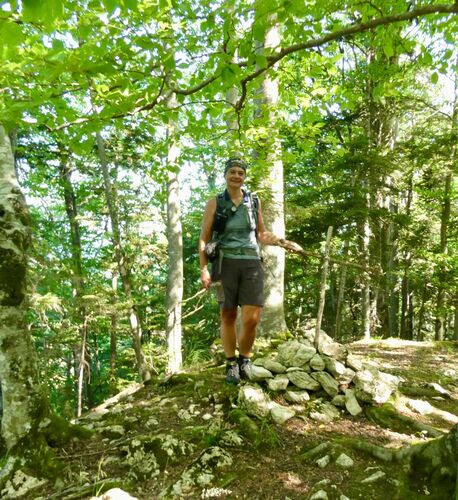 Tips Gipfelstürmer - Pauline  - Schafkogel (739m)