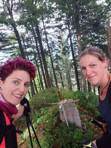 Tips Gipfelstürmer - Viktoria - Grünauberg (1202m)