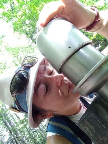 Tips Gipfelstürmer - Sabina - Siriuskogel (599 m in Oberösterreich, Bad Ischl)