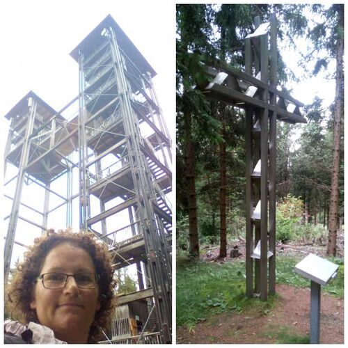 Tips Gipfelstürmer - Angela - Tremmelberg (1194m)