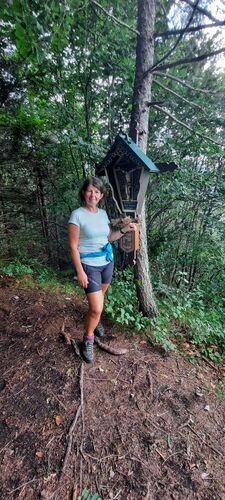 Tips Gipfelstürmer - Ingrid - Pröller (729m)