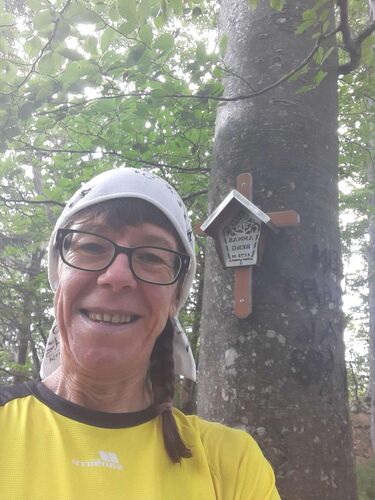 Tips Gipfelstürmer - Margit - Annasberg (1172m)