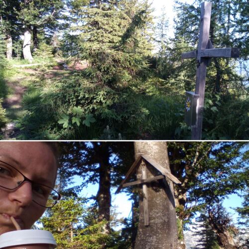 Tips Gipfelstürmer - Angela - Schneiderberg im Almtal (1162 m)