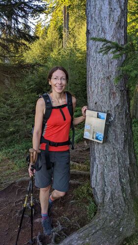 Tips Gipfelstürmer - Christine - Baalstein (800m)