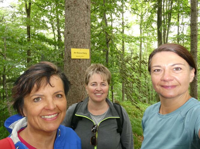 Tips Gipfelstürmer - Pauline  - Am Busserlberg (549m)