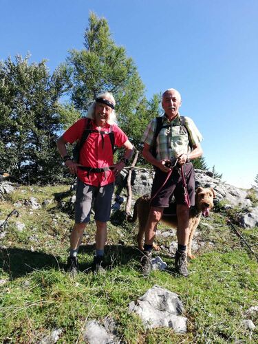 Tips Gipfelstürmer - Benito - Herrentisch (1333m)