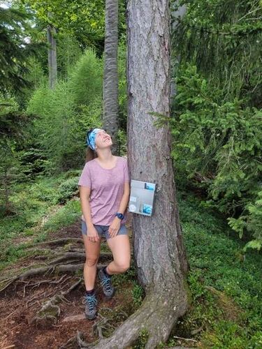 Tips Gipfelstürmer - Tanja - Geisswand (853m)