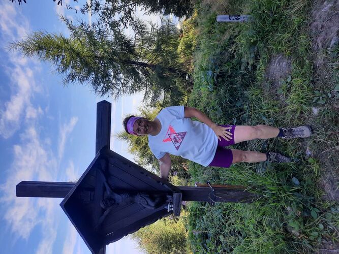 Tips Gipfelstürmer - Ingrid - Hochplettspitz (1134m)