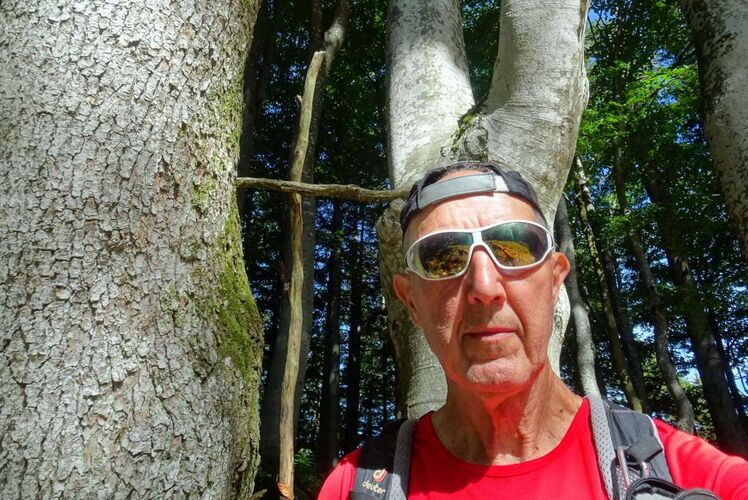 Tips Gipfelstürmer - Franz - Kalteneck (1191m)