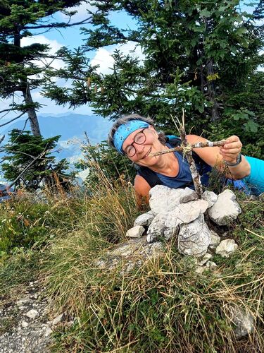 Tips Gipfelstürmer - Anja - Brunnbacheck (1427m)