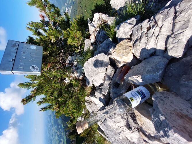 Tips Gipfelstürmer - Christian - Jacksonstein (1417m)