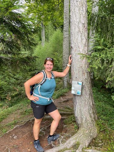 Tips Gipfelstürmer - Renate - Baalstein (800m)