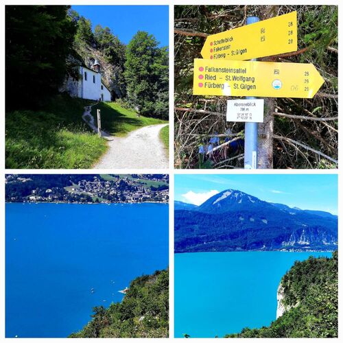 Tips Gipfelstürmer - Sylvia - Falkenstein (993m)