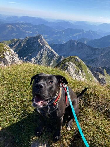 Tips Gipfelstürmer - Rebecca  - Großer Pyhrgas (2244m)