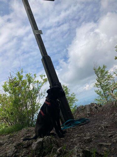 Tips Gipfelstürmer - Rebecca  - Hohe Dirn (1134m)