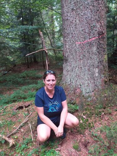 Tips Gipfelstürmer - Adelheid  - Sulzberg (1041m)