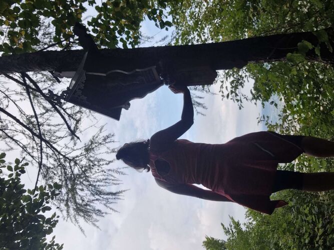 Tips Gipfelstürmer - Sandra - Pröller (729m)