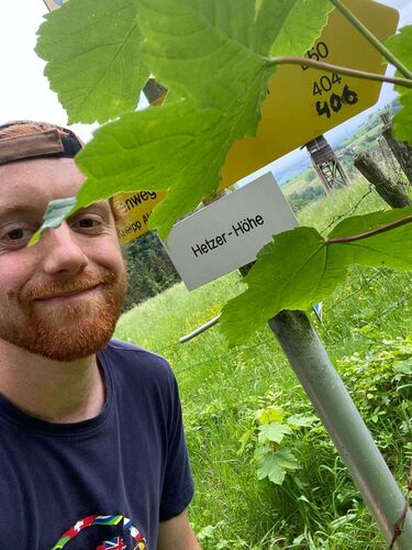 Tips Gipfelstürmer - Julian - Hetzerhöhe (677m)