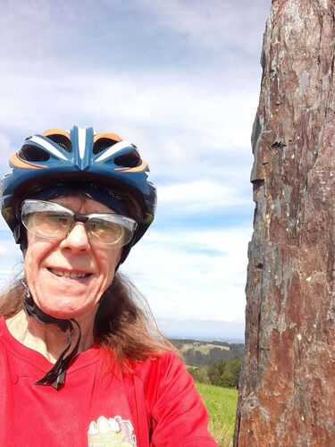 Tips Gipfelstürmer - Margit - Hochkogel (1157m)