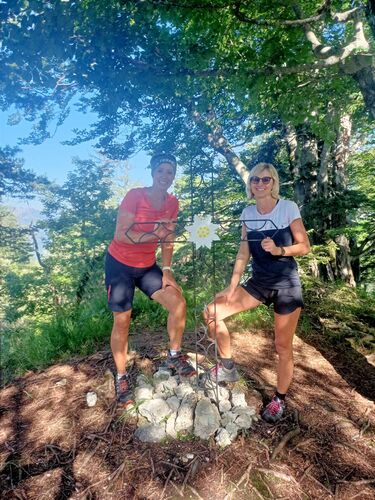 Tips Gipfelstürmer - Regina - Hausberg (1246m)