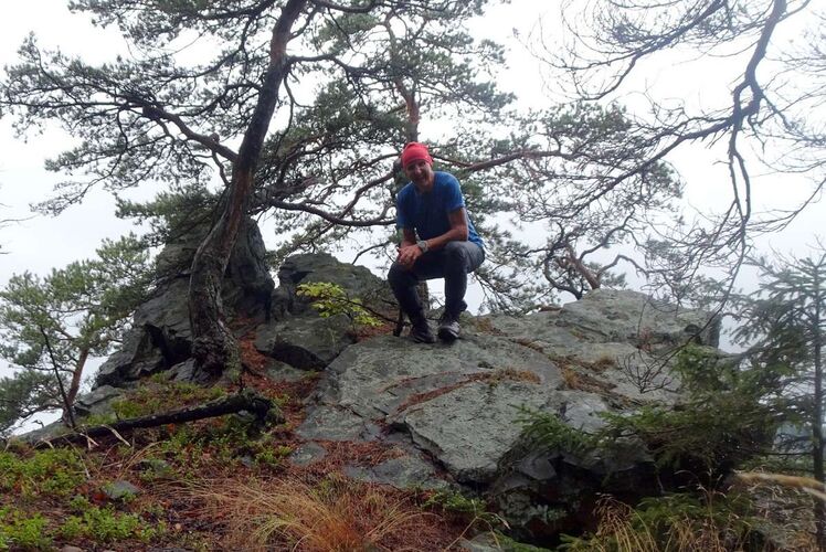 Tips Gipfelstürmer - Franz - Hühnberg (664m in Niederösterrreich)