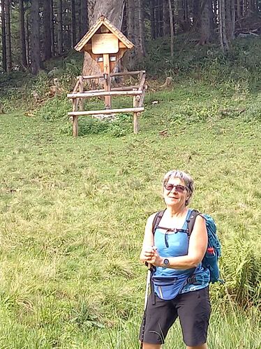 Tips Gipfelstürmer - Anja - Zinödlberg (1294m)