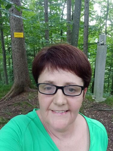 Tips Gipfelstürmer - Maria - Am Busserlberg (549m)