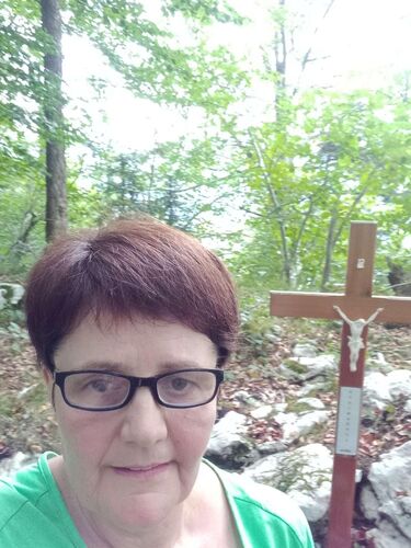 Tips Gipfelstürmer - Maria - Steinköpfl (608m)