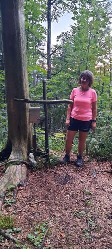 Tips Gipfelstürmer - Ingrid - Sonnkogel (1177m)