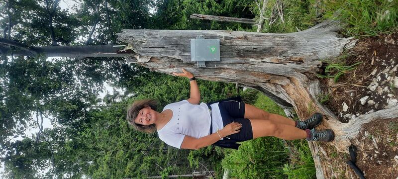 Tips Gipfelstürmer - Ingrid - Fahrnaugupf (1239m)