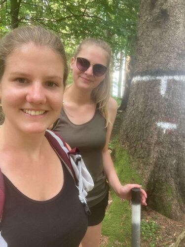 Tips Gipfelstürmer - Marlies - Geierkogel (886m)