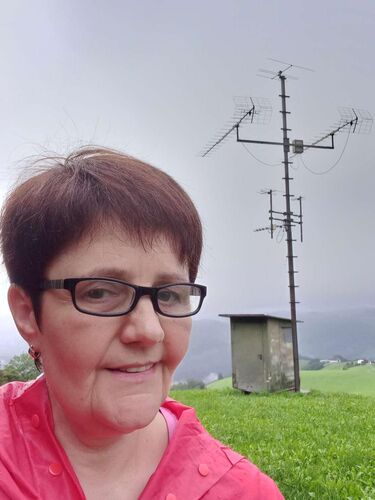 Tips Gipfelstürmer - Maria - Mistlberg (772m)