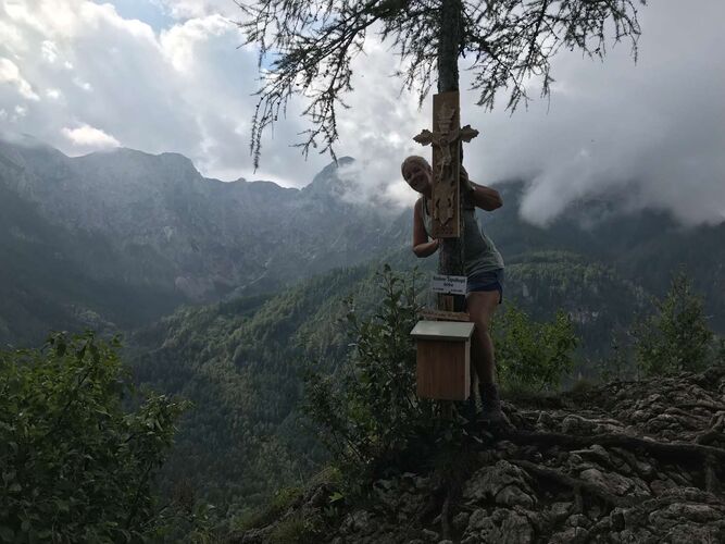 Tips Gipfelstürmer - Ursula  - Vorderer Signalkogel (906m)