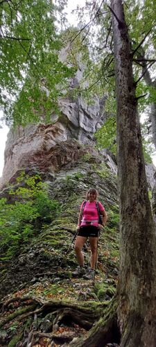 Tips Gipfelstürmer - Ingrid - Pfenningstein  (759m)