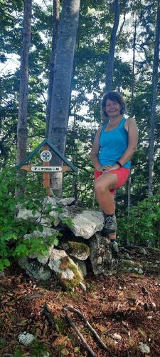 Tips Gipfelstürmer - Ingrid - Rinnerberg (878m)