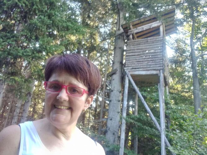 Tips Gipfelstürmer - Maria - Thurnhamberg (984m)