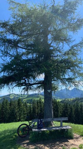 Tips Gipfelstürmer - Carmen - Grillenparz (842m)