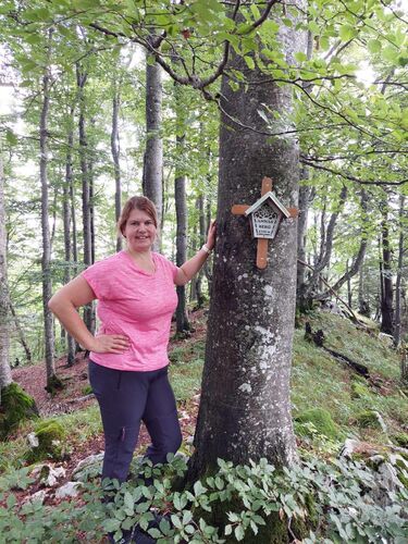 Tips Gipfelstürmer - Renate - Annasberg (1172m)