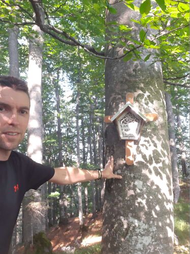 Tips Gipfelstürmer - Rudolf - Annasberg (1172m)