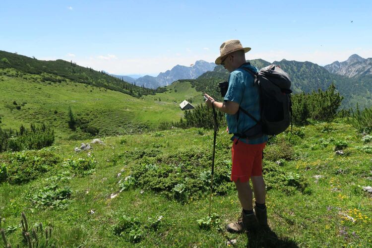 Tips Gipfelstürmer - Andreas - Jodlstein (1585m in Katergebirge, OÖ)