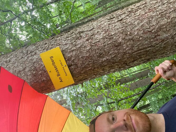 Tips Gipfelstürmer - Julian - Am Busserlberg (549m)