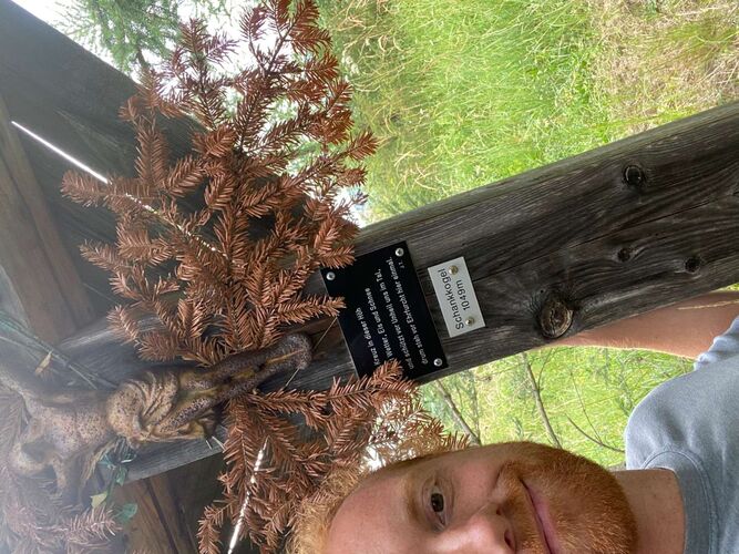 Tips Gipfelstürmer - Julian - Schankkogel (1049m)