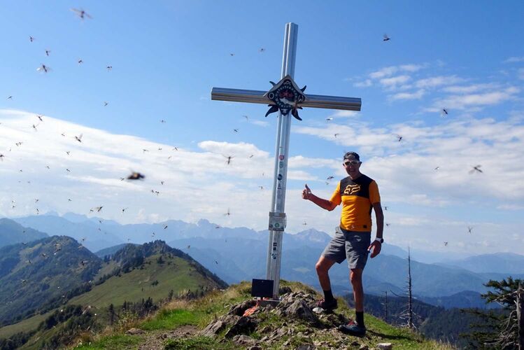 Tips Gipfelstürmer - Franz - Almkogel (Kalkalpen) (1513m)