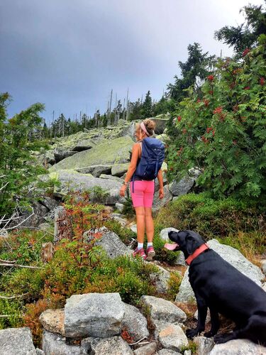 Tips Gipfelstürmer - Beate  - 