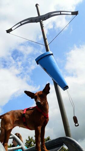 Tips Gipfelstürmer - Marika - Eibenberg (1598m)