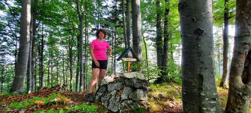 Tips Gipfelstürmer - Ingrid - Rinnerberg (861m)