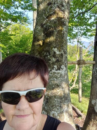 Tips Gipfelstürmer - Maria - Kienberg (801m)