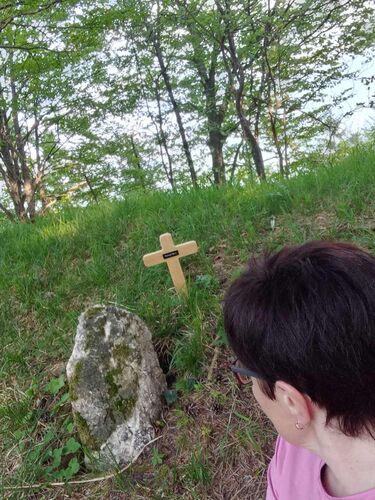 Tips Gipfelstürmer - Maria - Planwipf (980)