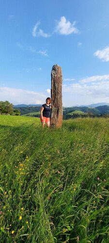 Tips Gipfelstürmer - Ingrid - Hochkogl (695m)