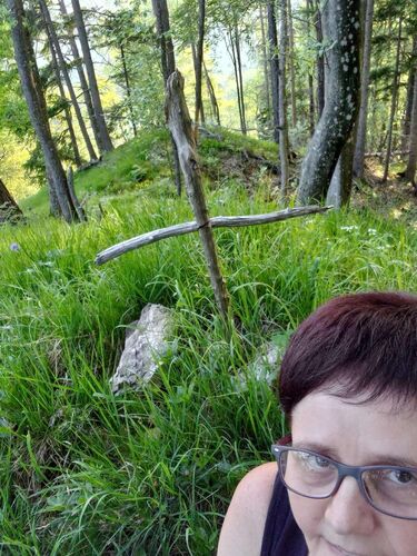 Tips Gipfelstürmer - Maria - Sonnkogel (880m)